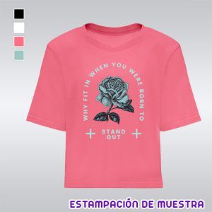 Camiseta dominica