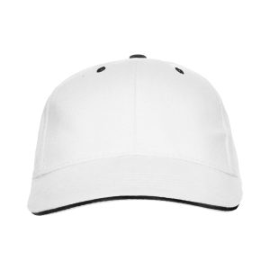 Gorra Panel